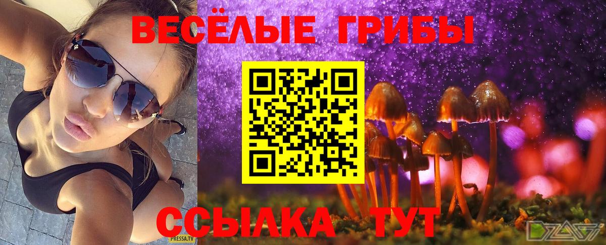 Воронеж  даркнет сайт  Вход с VPN  Галлюциногенные грибы MAGIC MUSHROOMS 
