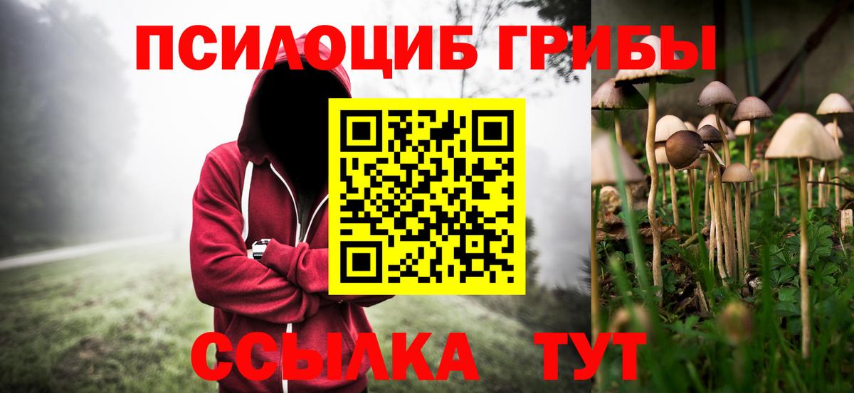 Галлюциногенные грибы мицелий Воронеж