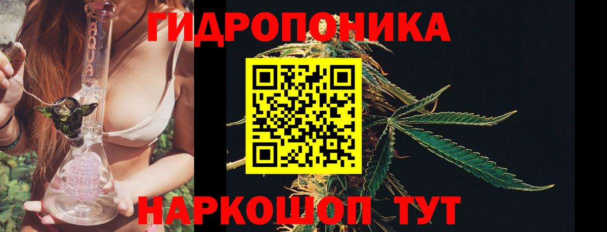 Конопля семена Воронеж